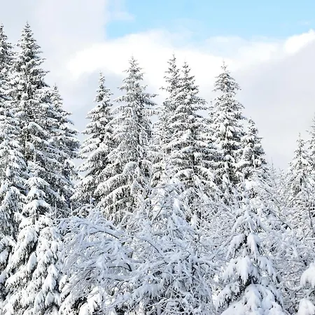 Olimpijska Kuca Poljice *